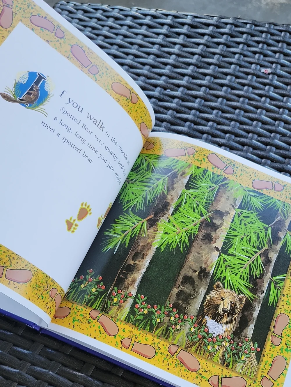 🌺3 For $10 Spotted Bear A Rocky Mountain Folktale - Blue Cover